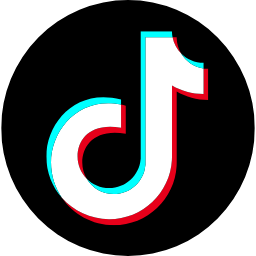 tiktok icon